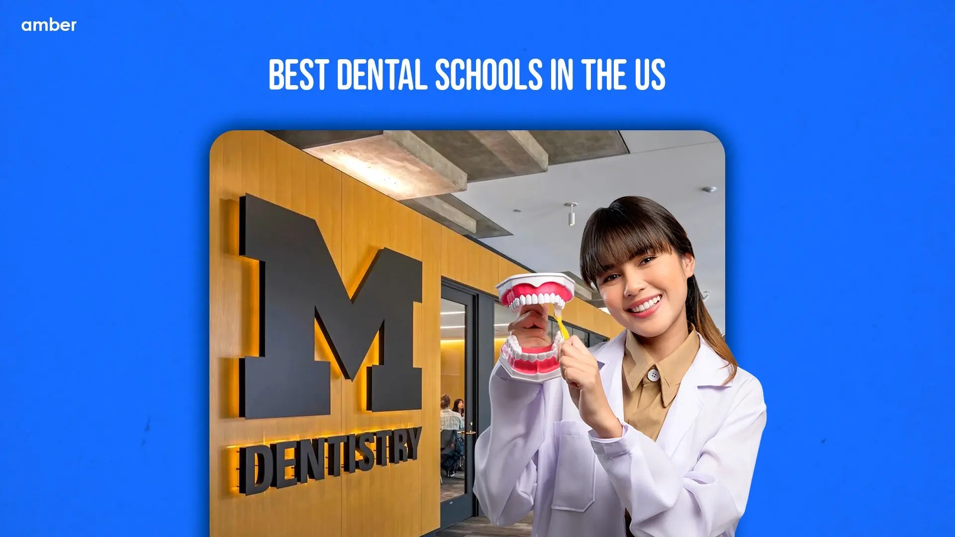 Discover 10 best dental schools in the us in 2024